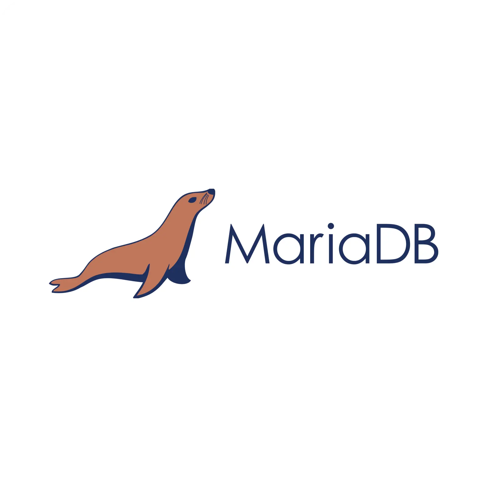 rocket-earn-tools-mariaDB